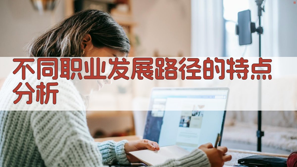 不同职业发展路径的特点分析 图3