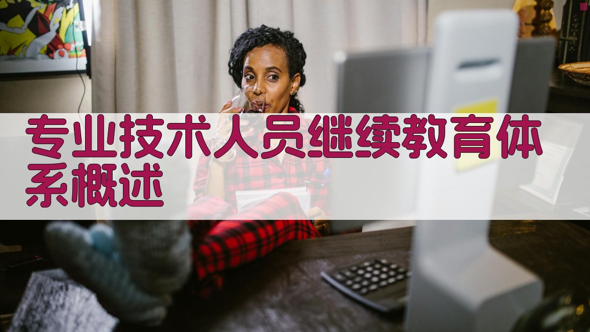 专业技术人员继续教育体系概述 图1