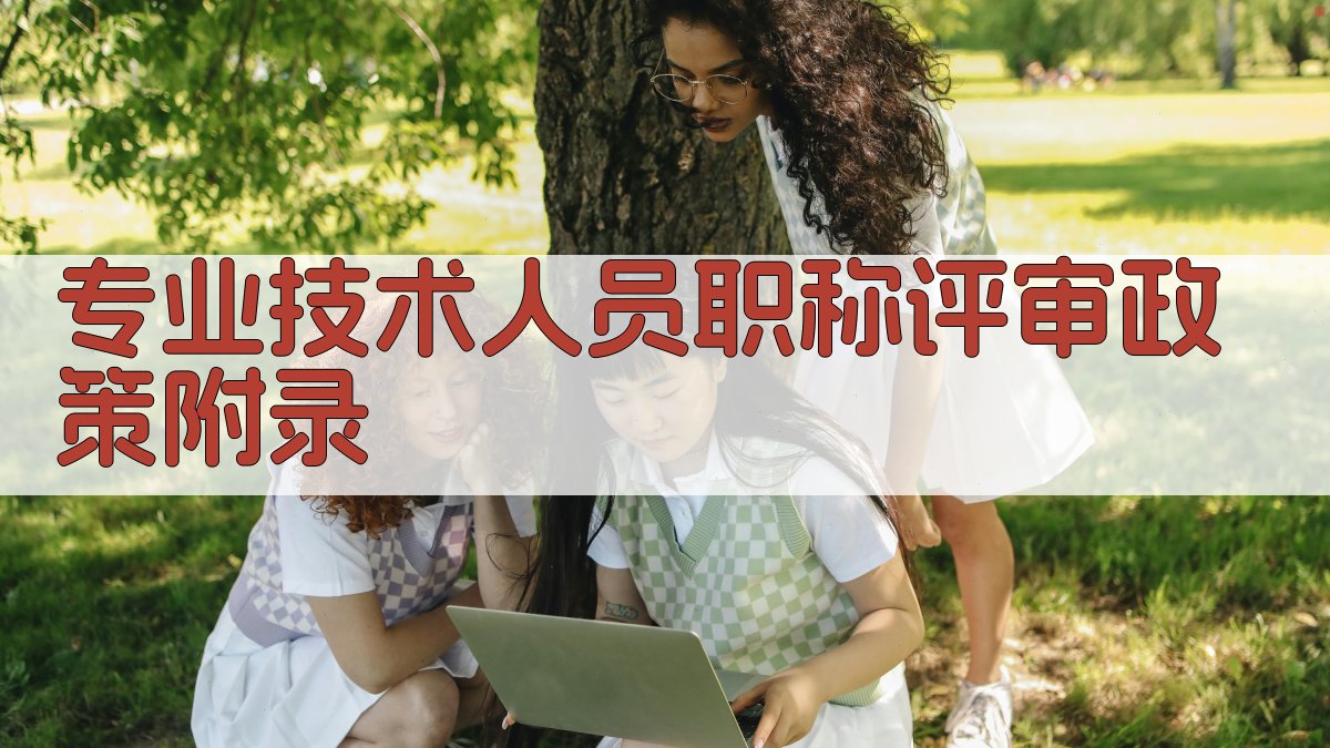 专业技术人员职称评审政策 · 附录 图5