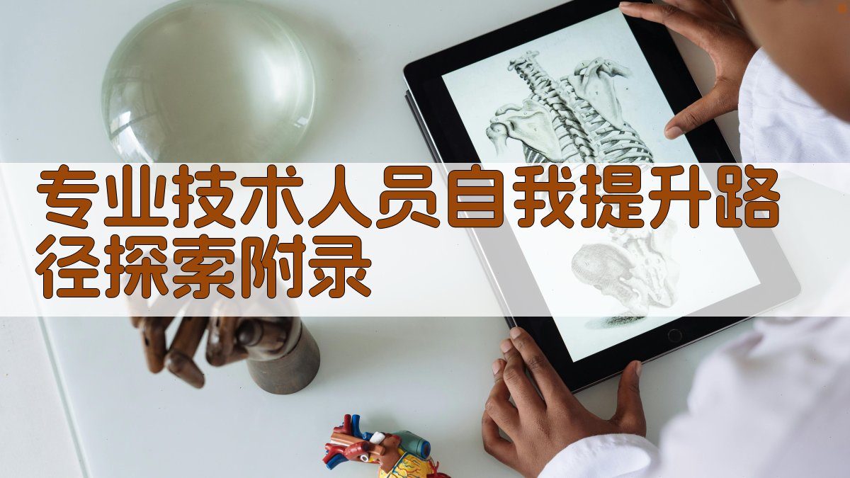 专业技术人员自我提升路径探索 · 附录 图2