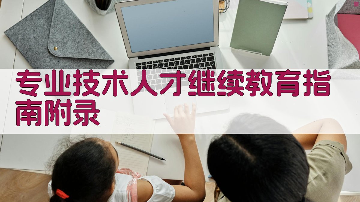 专业技术人才继续教育指南 · 附录 图4