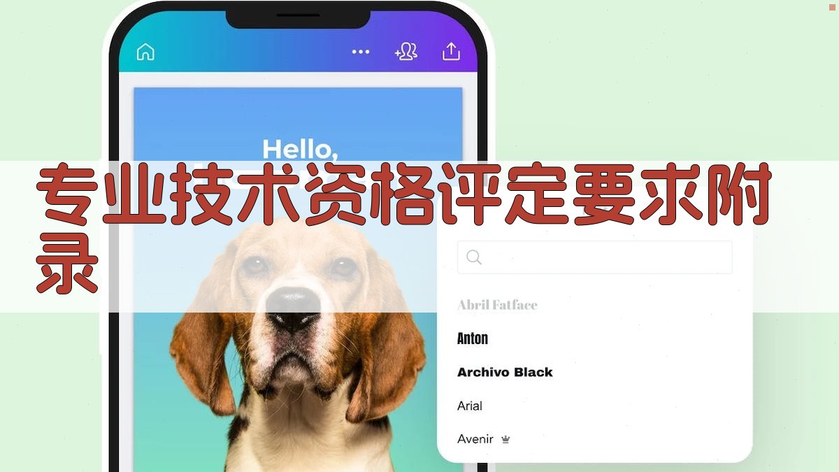 专业技术资格评定要求 · 附录 图3