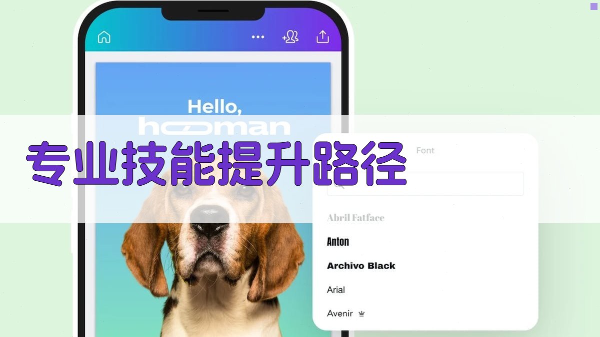 专业技能提升路径 图2