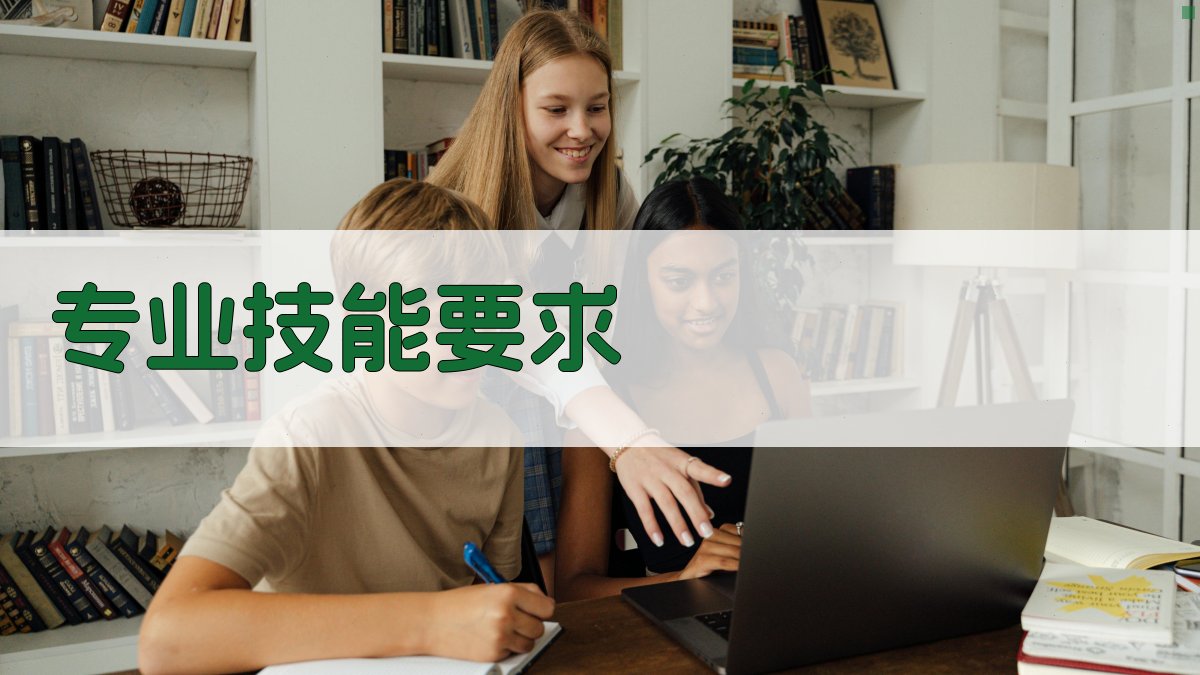 专业技能要求 图3