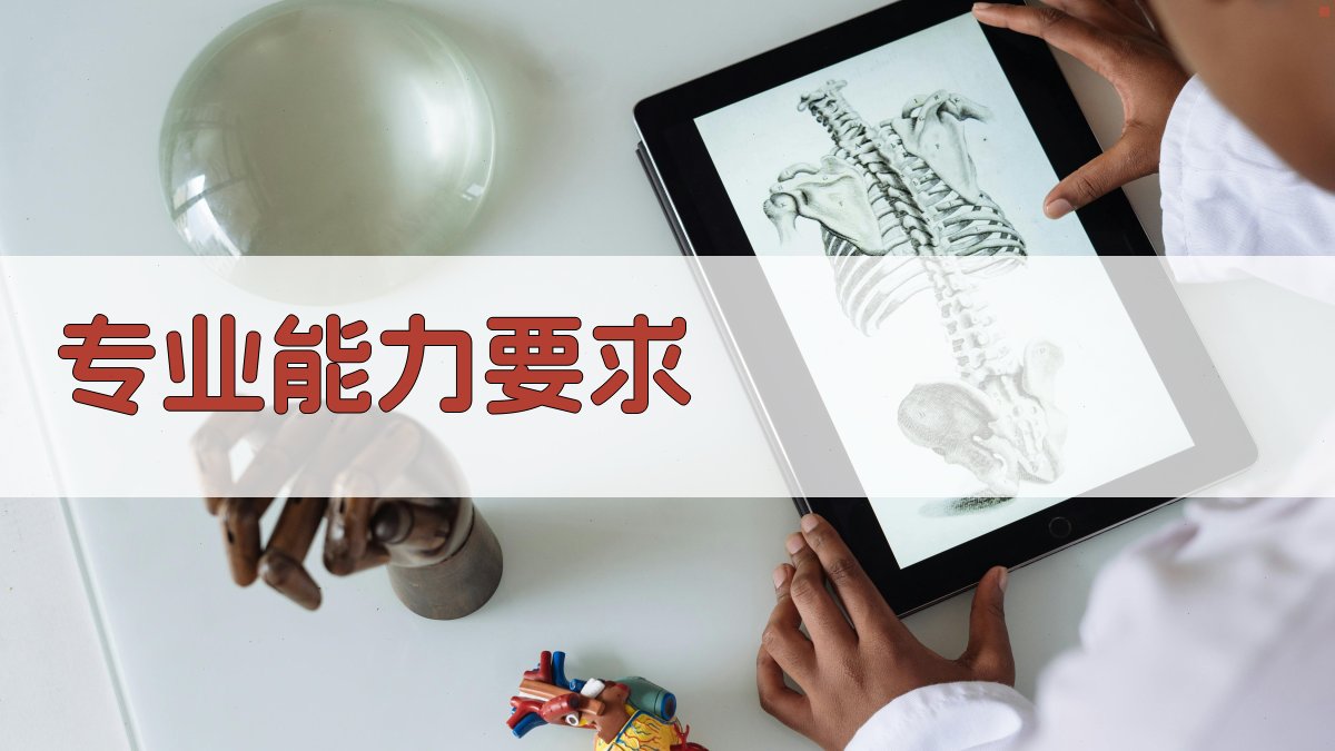 专业能力要求 图2