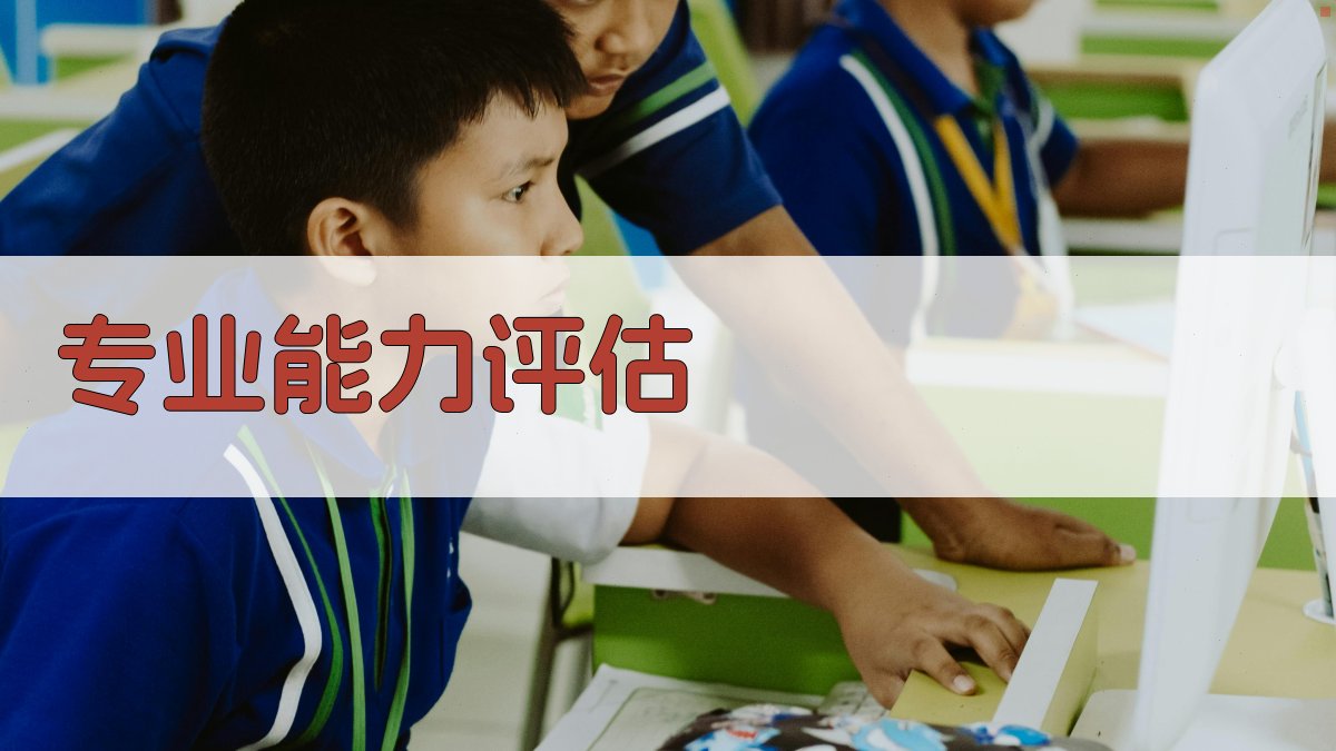 专业能力评估 图1