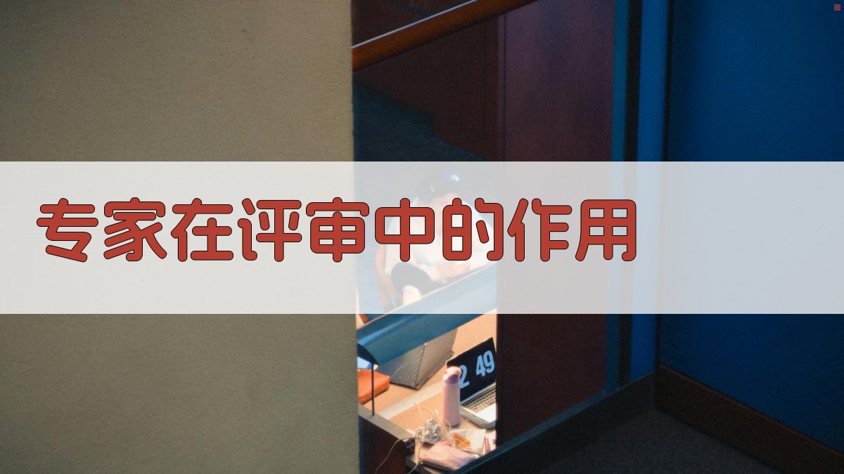 专家在评审中的作用 图2