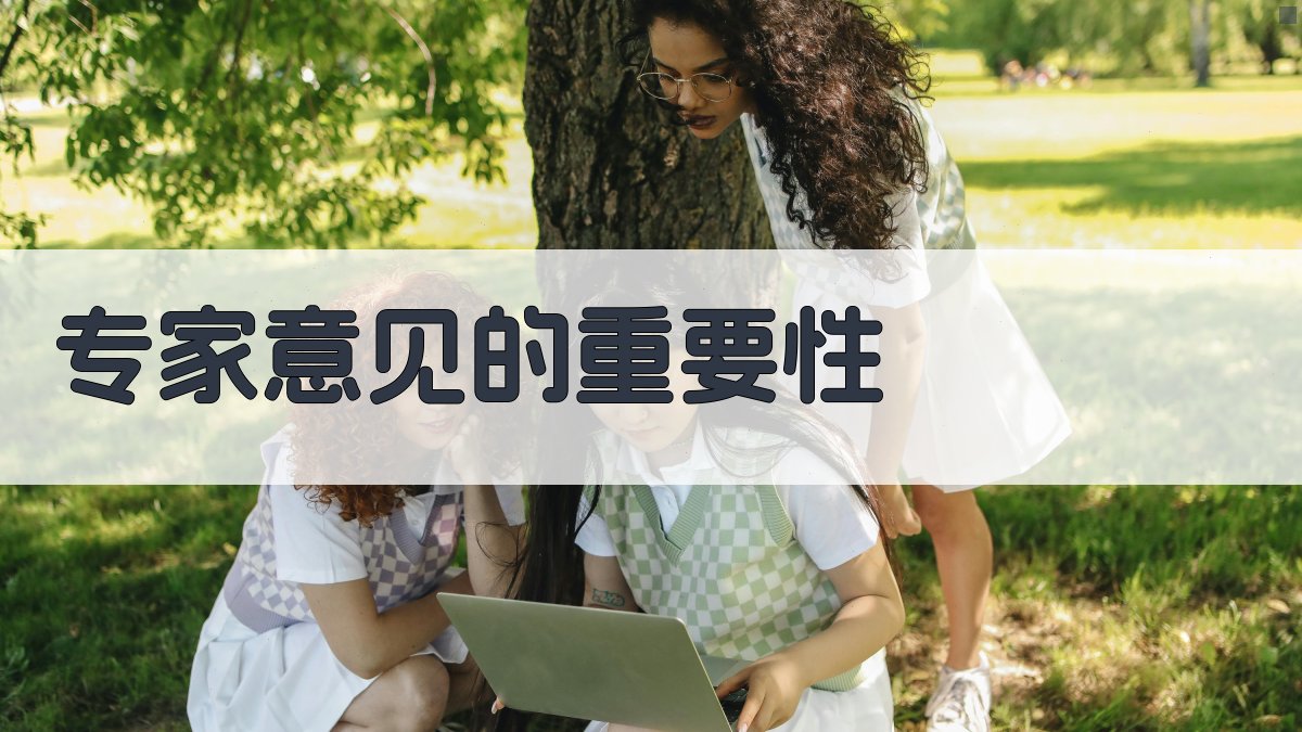 专家意见的重要性 图1