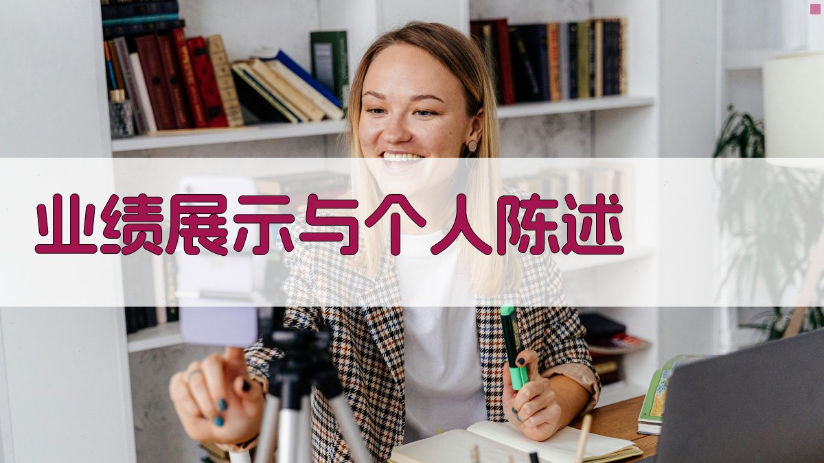 业绩展示与个人陈述 图2