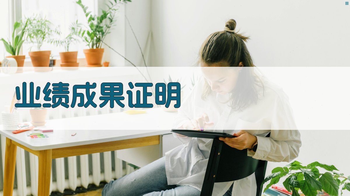 业绩成果证明 图3