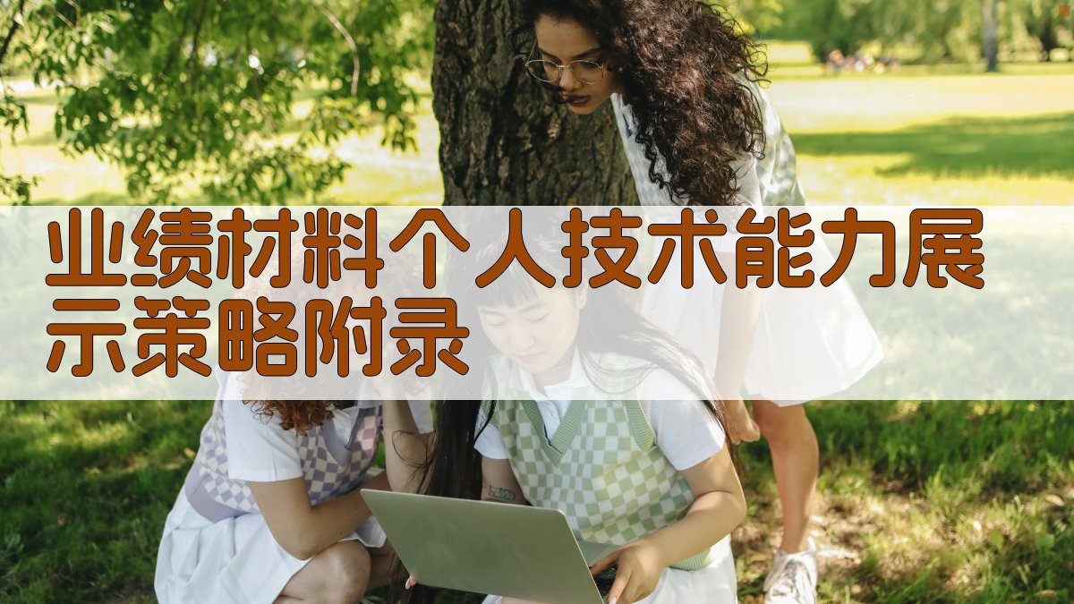 业绩材料个人技术能力展示策略 · 附录 图4