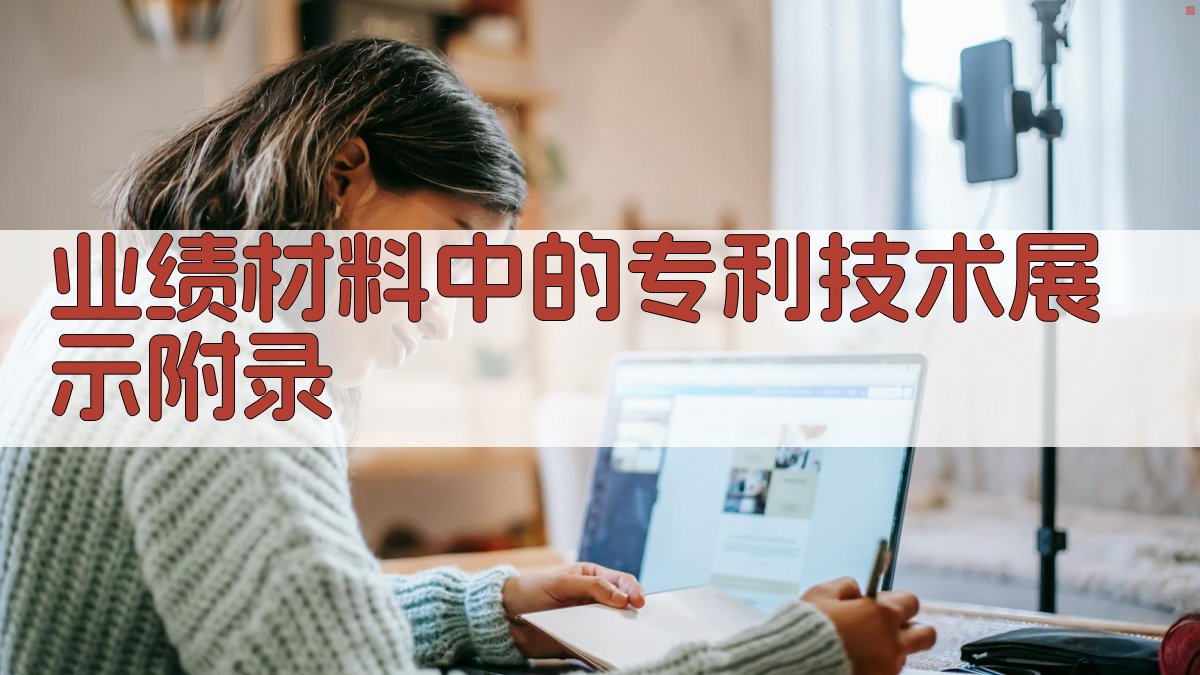业绩材料中的专利技术展示 · 附录 图4