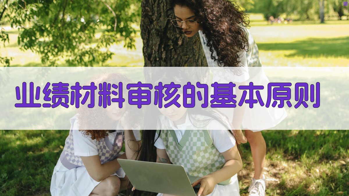 业绩材料审核的基本原则 图1