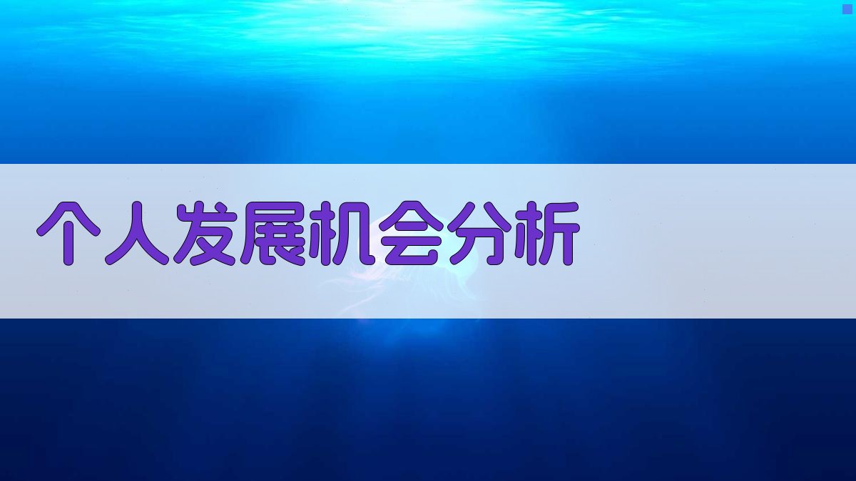 个人发展机会分析 图3