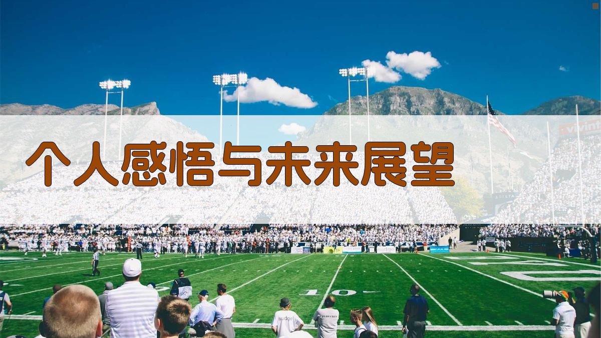 个人感悟与未来展望 图2