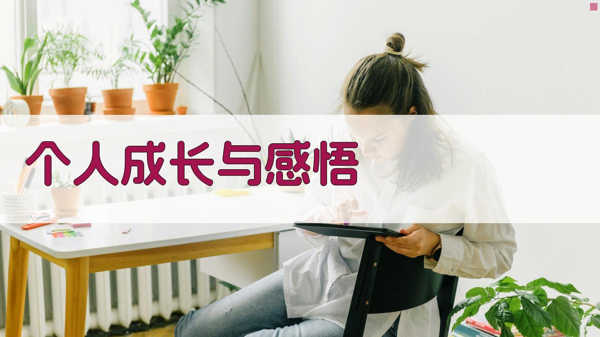 个人成长与感悟 图4