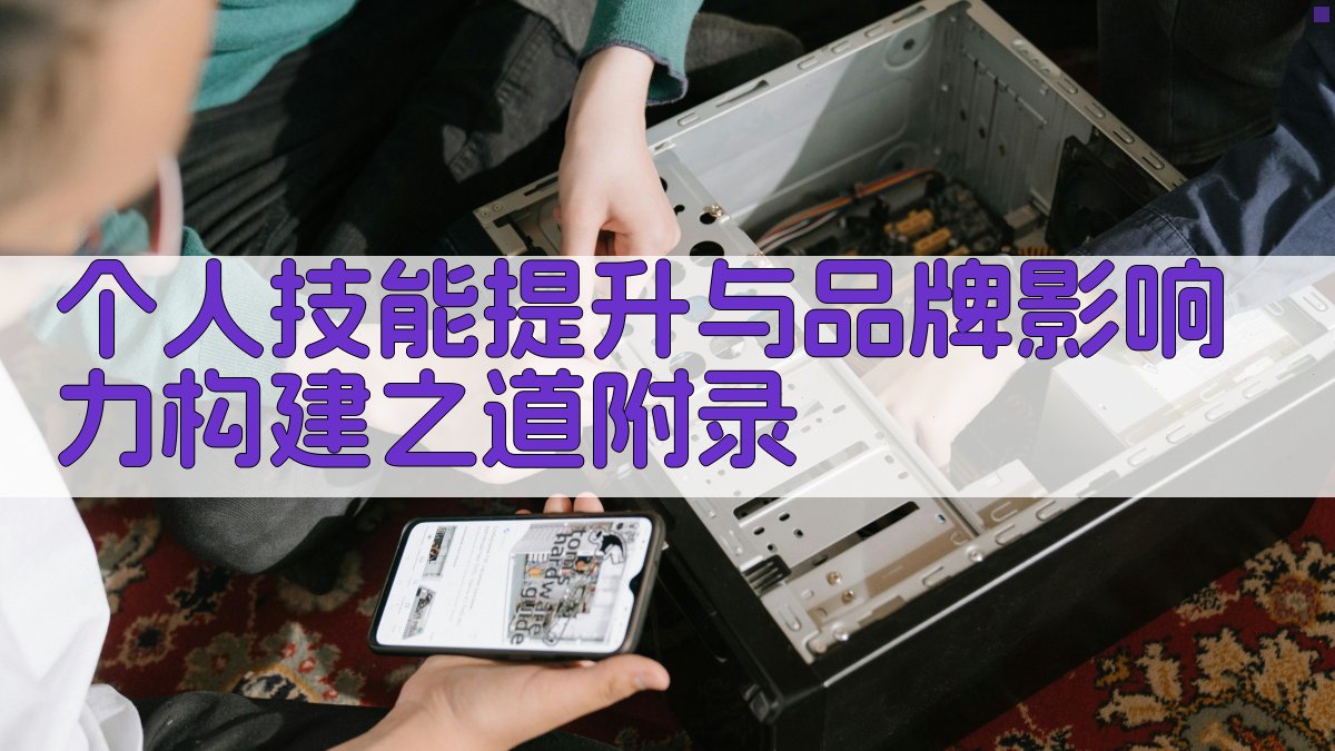 个人技能提升与品牌影响力构建之道 · 附录 图5