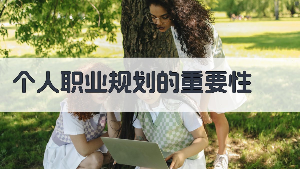 个人职业规划的重要性 图3