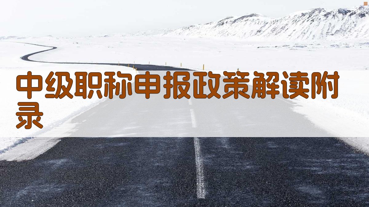 中级职称申报政策解读 · 附录 图3