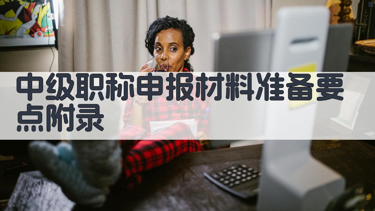 中级职称申报材料准备要点 · 附录 图3