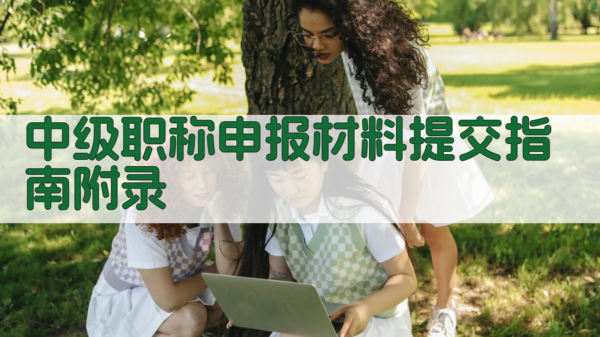中级职称申报材料提交指南 · 附录 图1