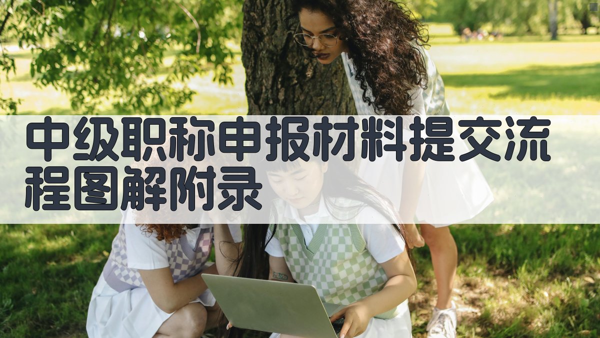 中级职称申报材料提交流程图解 · 附录 图2