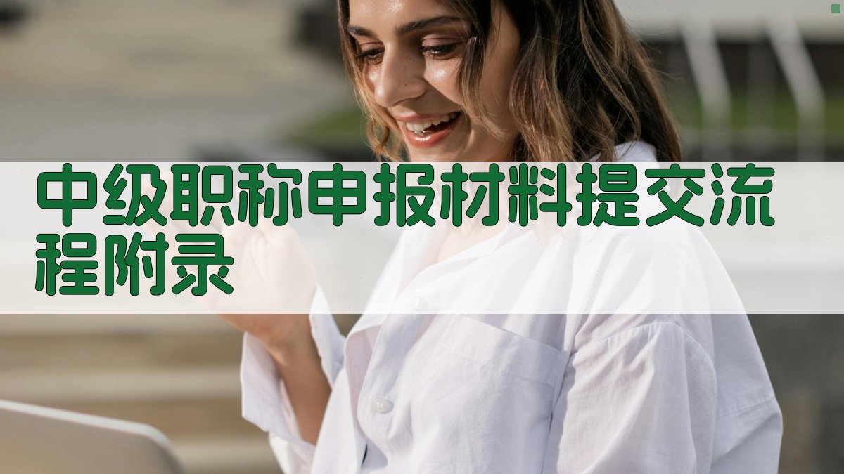 中级职称申报材料提交流程 · 附录 图4
