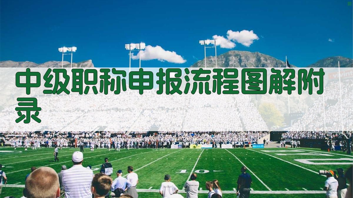 中级职称申报流程图解 · 附录 图3
