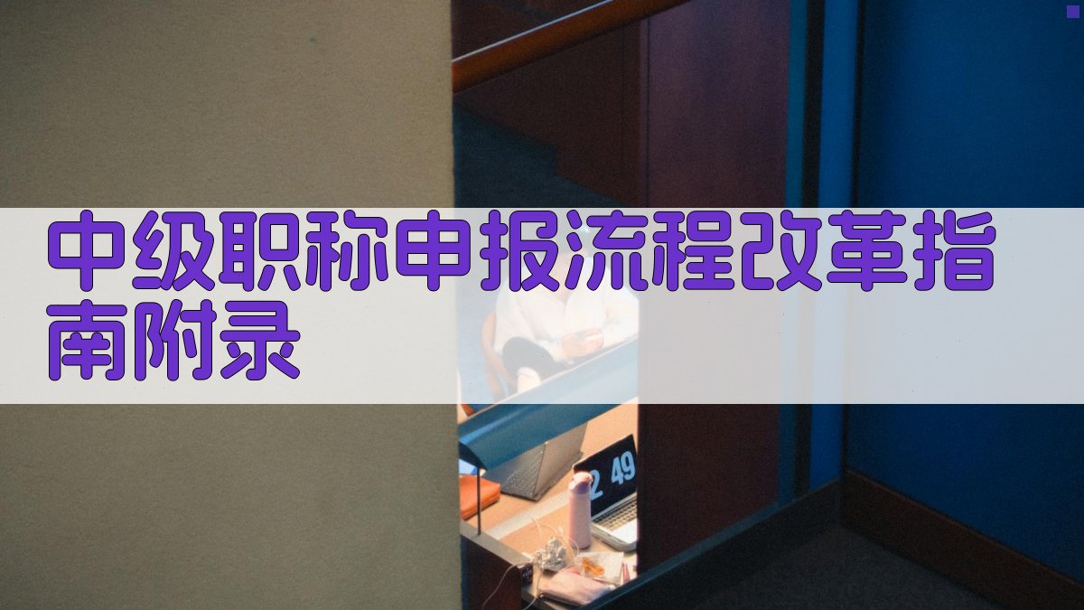 中级职称申报流程改革指南 · 附录 图5