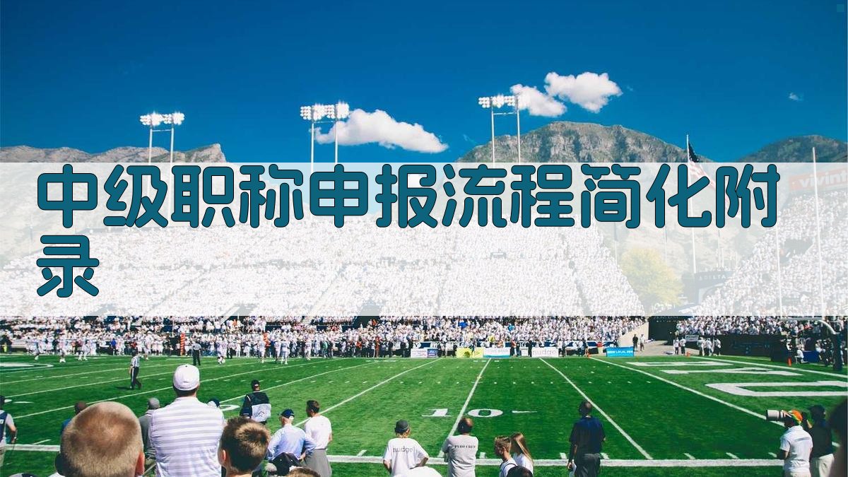 中级职称申报流程简化 · 附录 图4