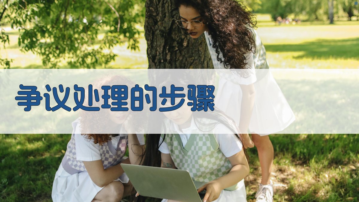 争议处理的步骤 图2