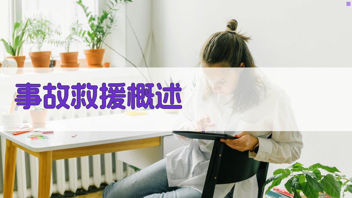 事故救援概述 图1