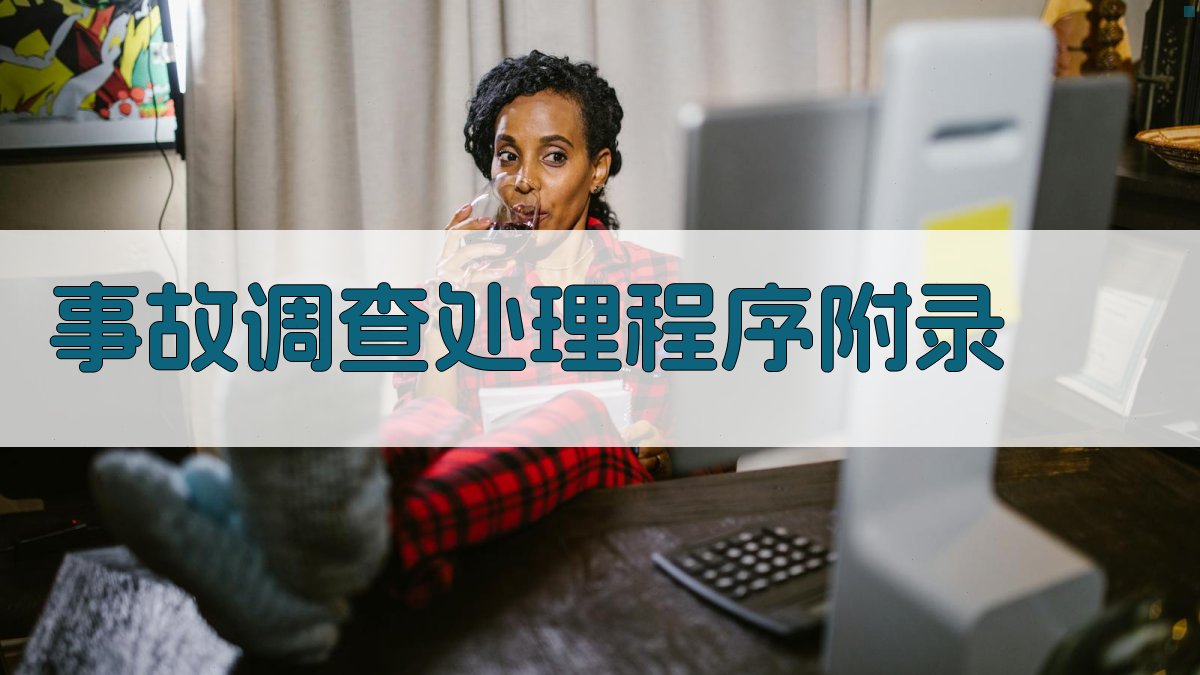 事故调查处理程序 · 附录 图3