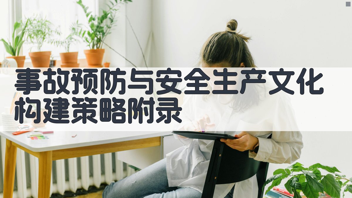 事故预防与安全生产文化构建策略 · 附录 图5
