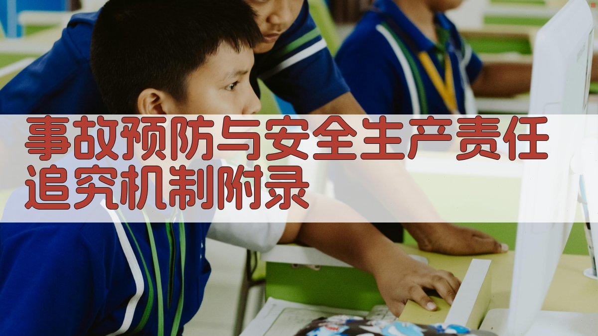 事故预防与安全生产责任追究机制 · 附录 图3