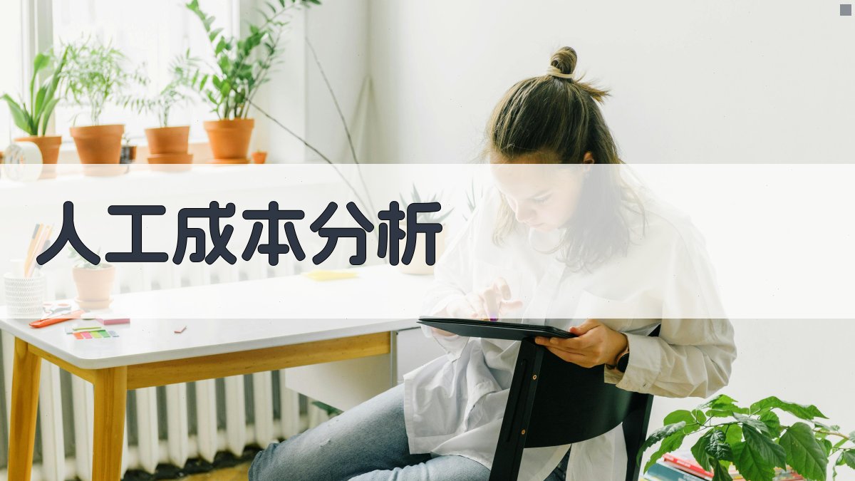 人工成本分析 图3