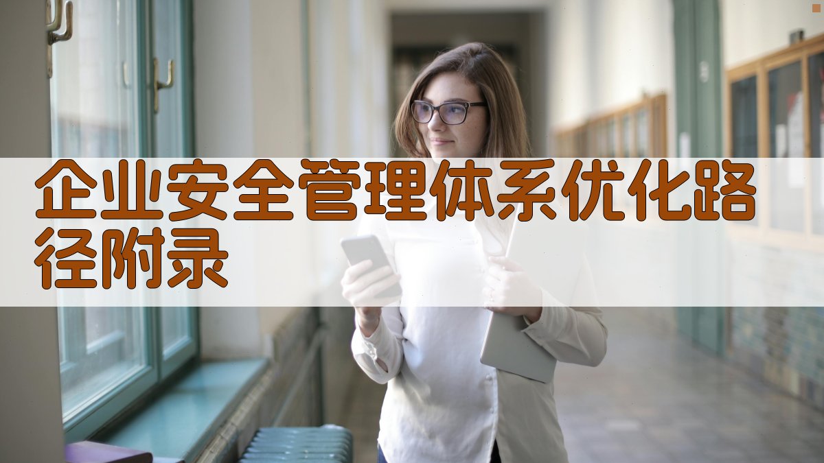 企业安全管理体系优化路径 · 附录 图3