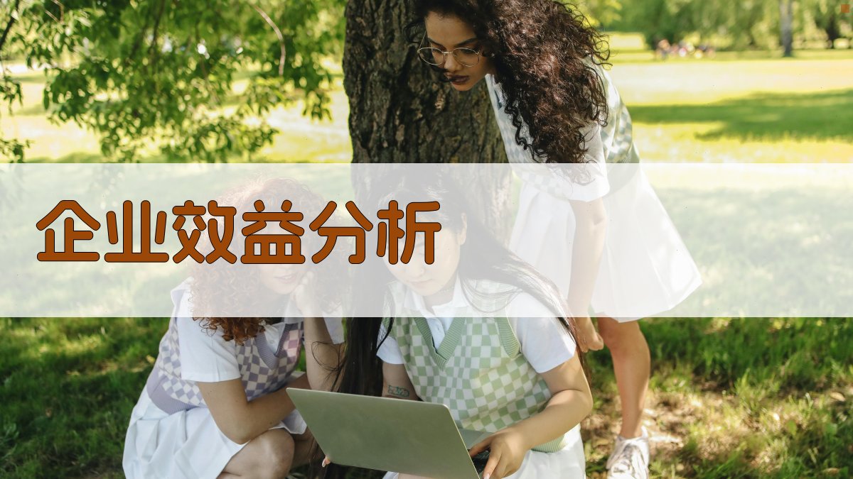 企业效益分析 图3