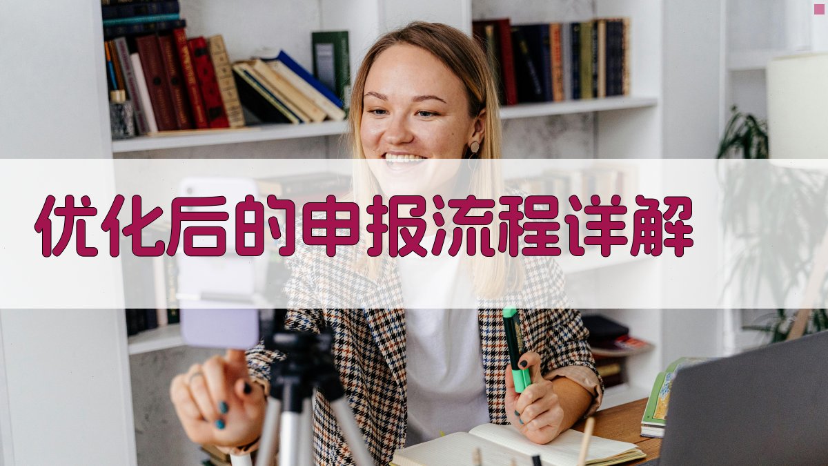 优化后的申报流程详解 图3