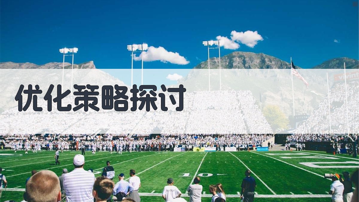 优化策略探讨 图1