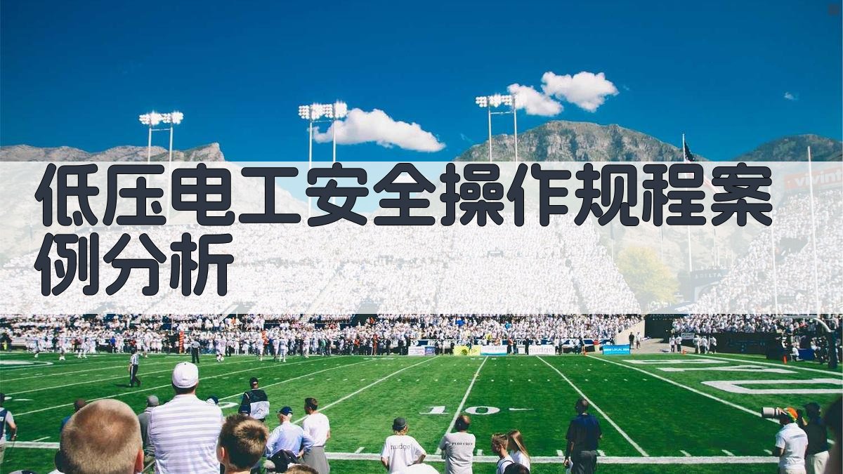 低压电工安全操作规程案例分析 图3