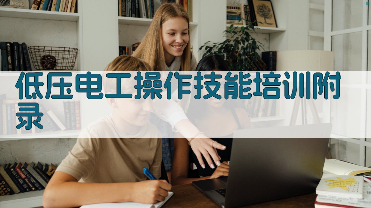 低压电工操作技能培训 · 附录 图5