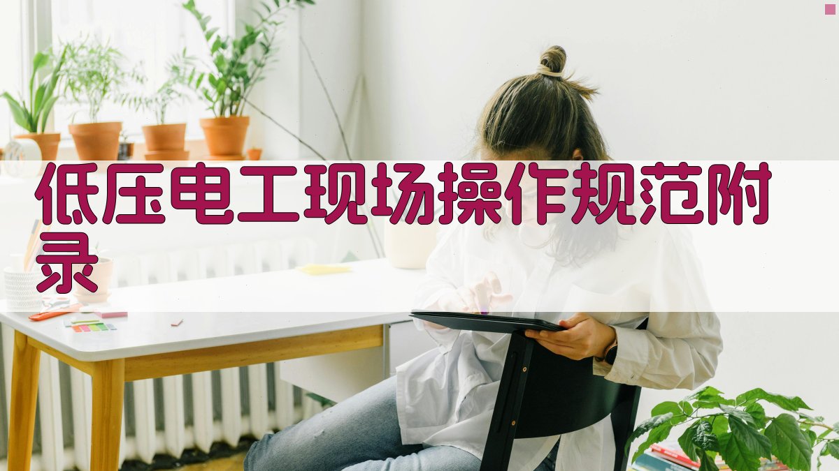 低压电工现场操作规范 · 附录 图2