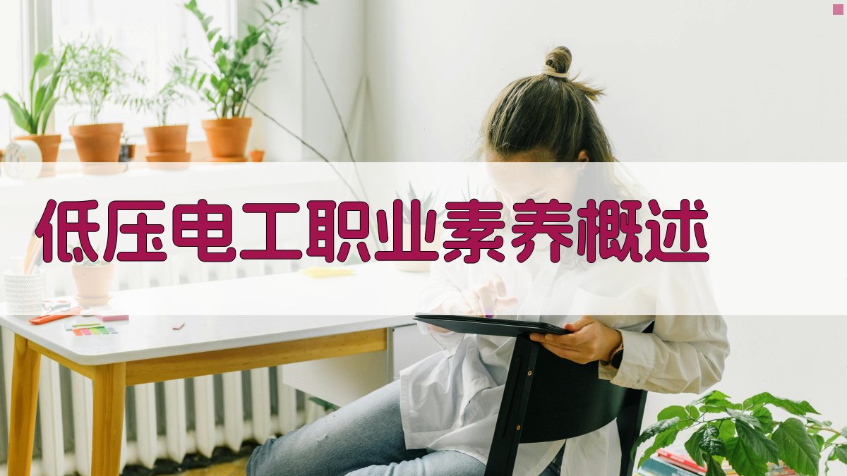 低压电工职业素养概述 图1