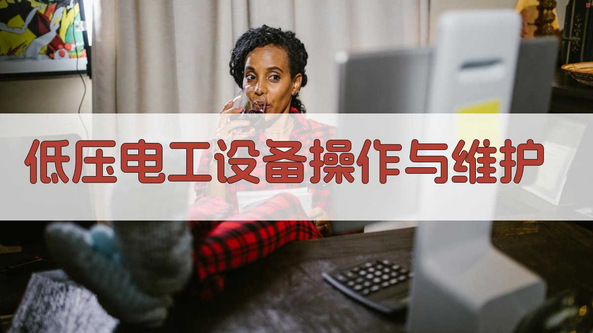 低压电工设备操作与维护 图2