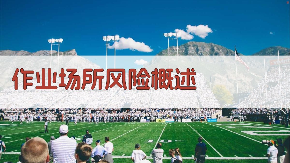 作业场所风险概述 图1