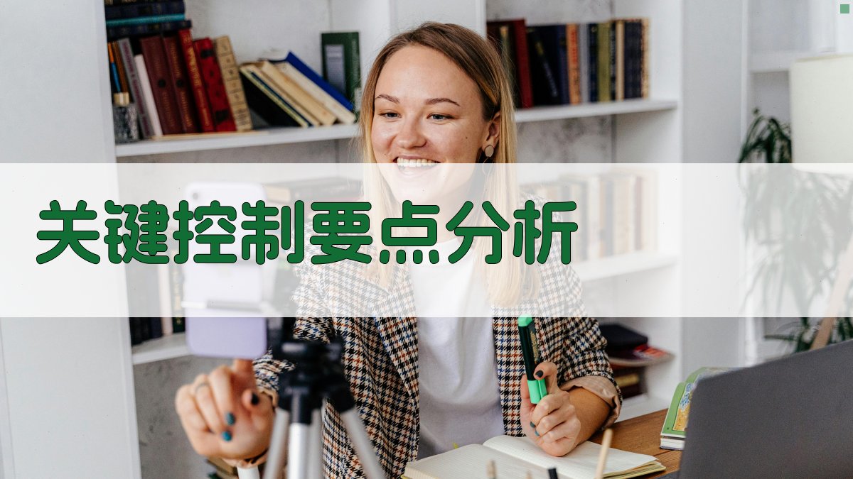 关键控制要点分析 图2