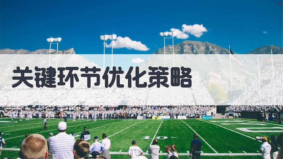 关键环节优化策略 图1