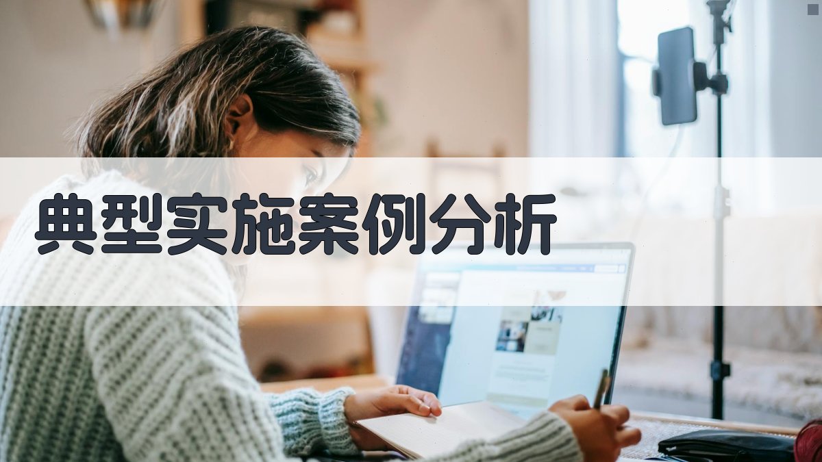 典型实施案例分析 图2