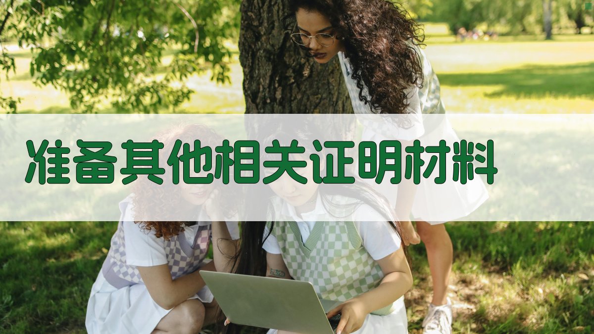 准备其他相关证明材料 图2